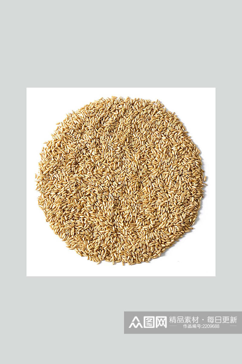 精品燕麦米美食食品图片素材
