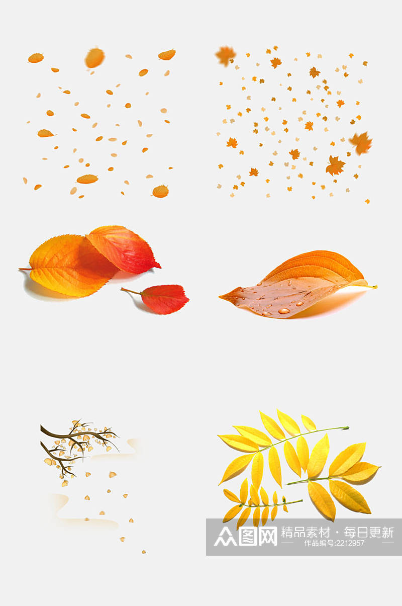水彩花卉秋天立秋叶子落叶免抠元素素材