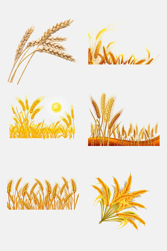 金色小麦稻谷水稻免抠元素