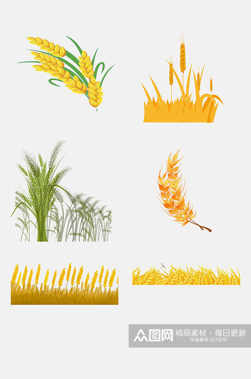 简洁稻谷水稻免抠元素素材