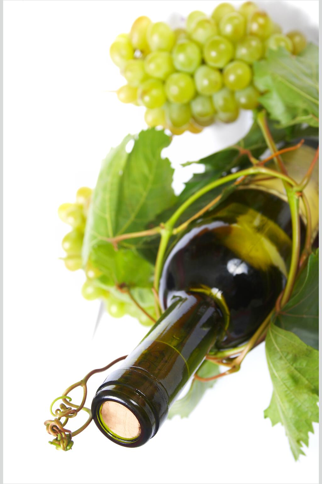 清新高端葡萄酒美食图片素材