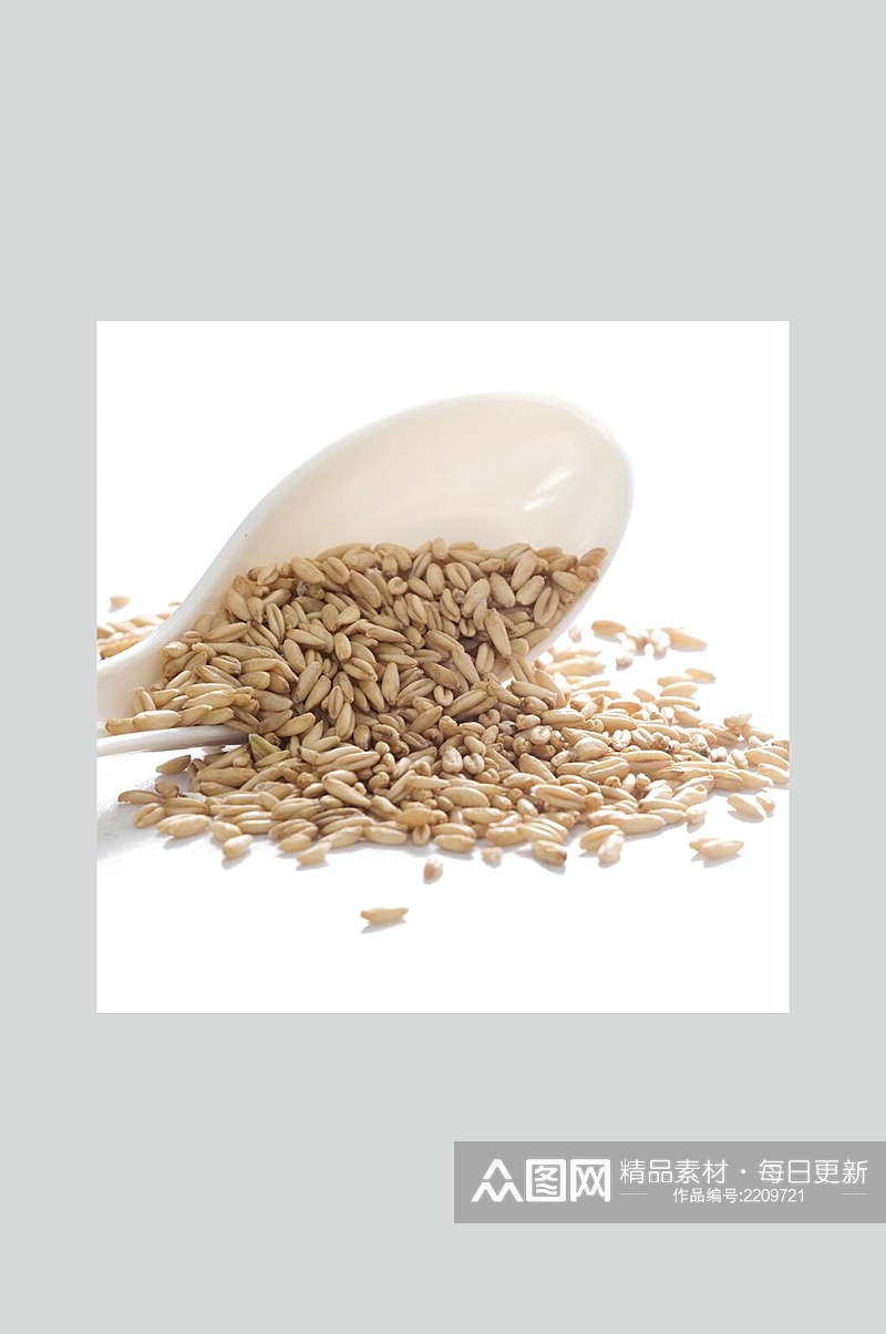 精选燕麦米美食食品图片素材
