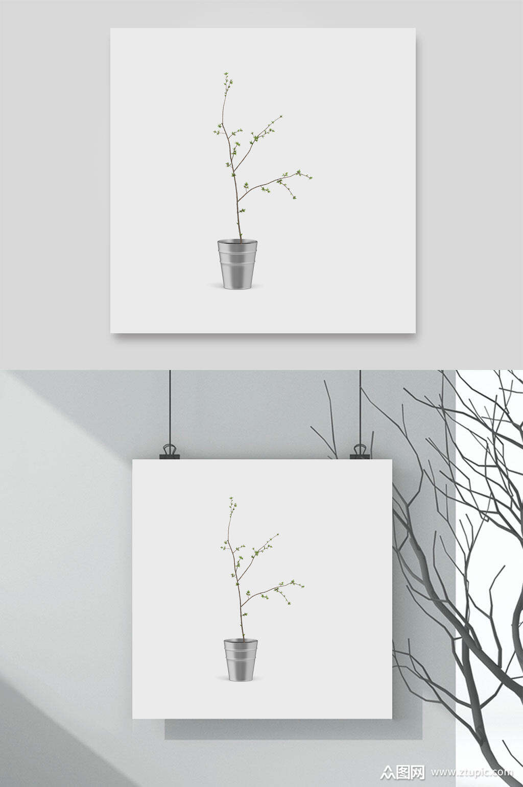 极简盆栽自然花卉设计元素