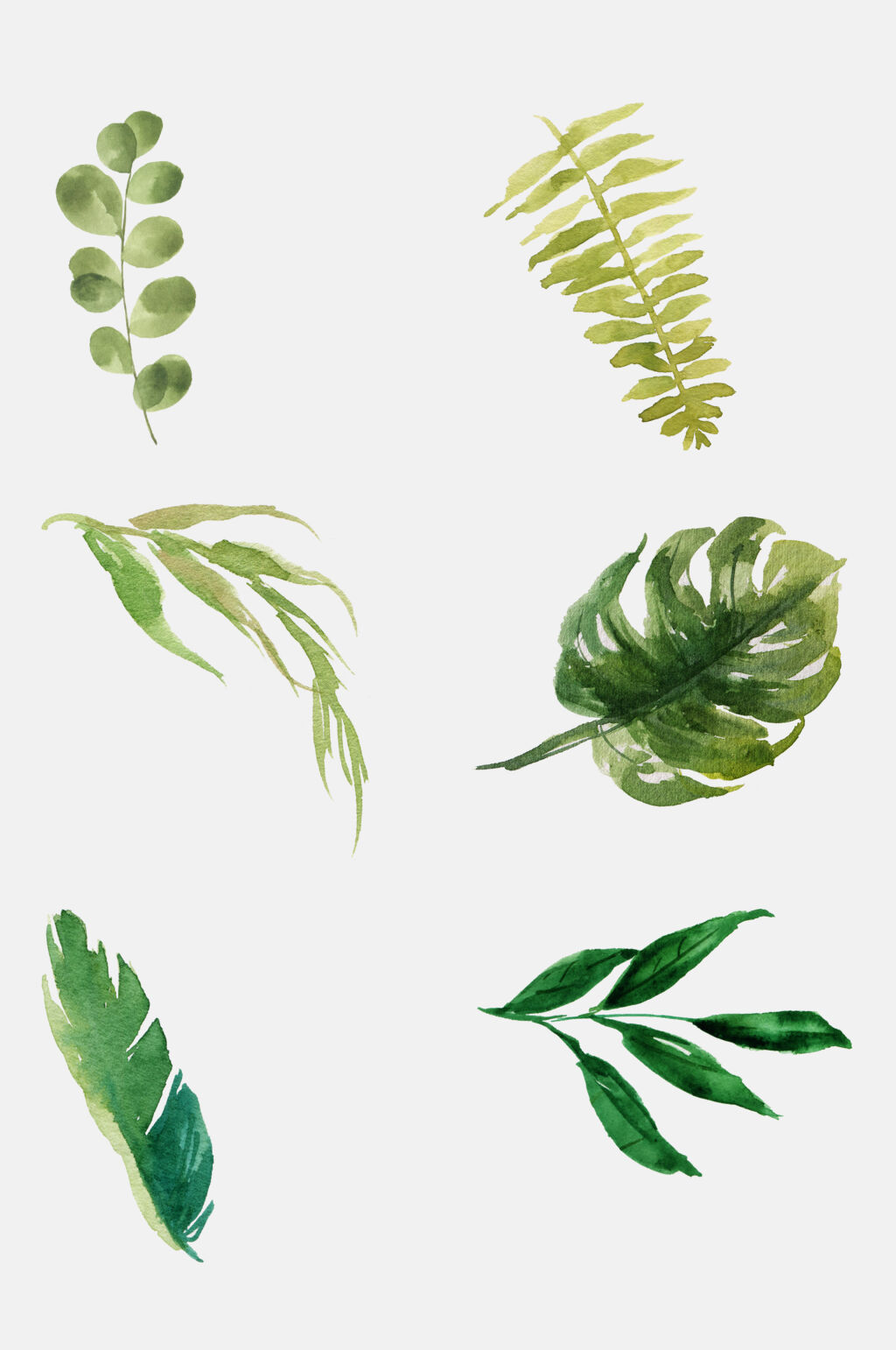 清新水彩植物叶子免抠元素素材