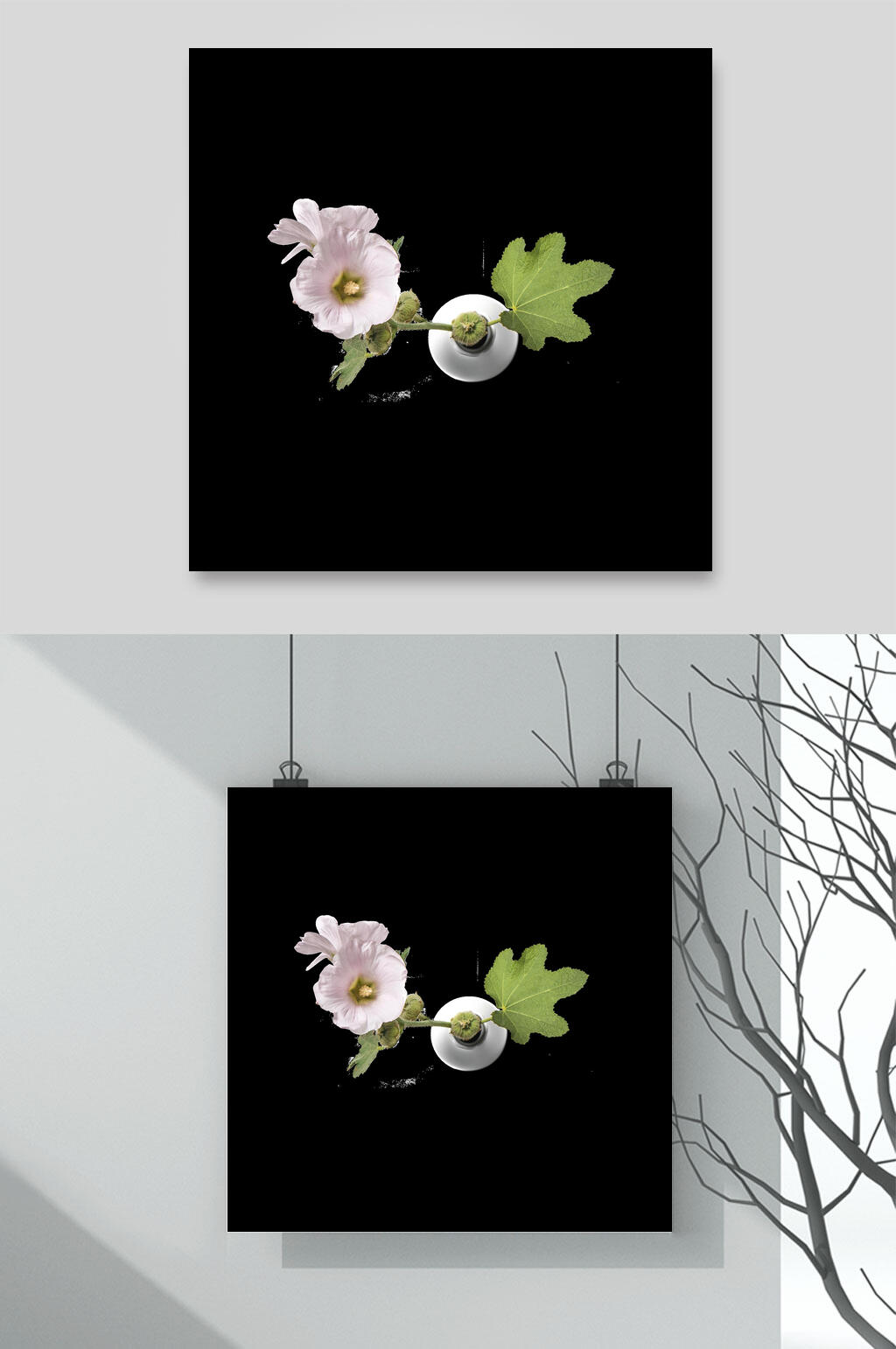 黑底花卉插花花瓣植物素材素材