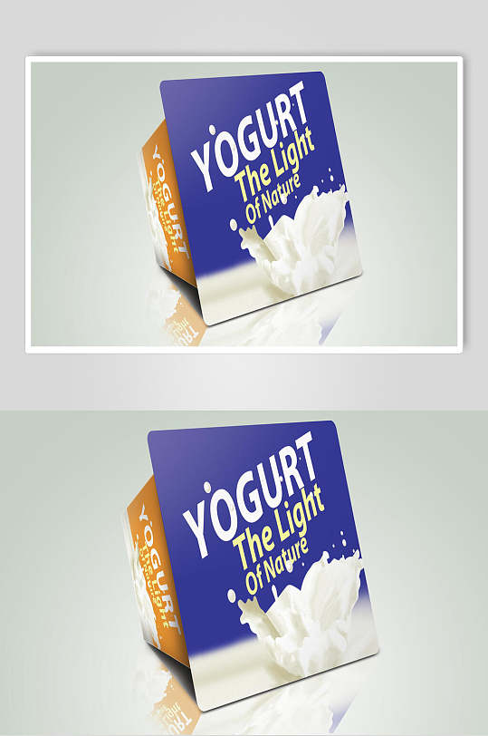 大气高级酸奶食品包装样机