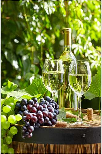 果酒葡萄酒图片