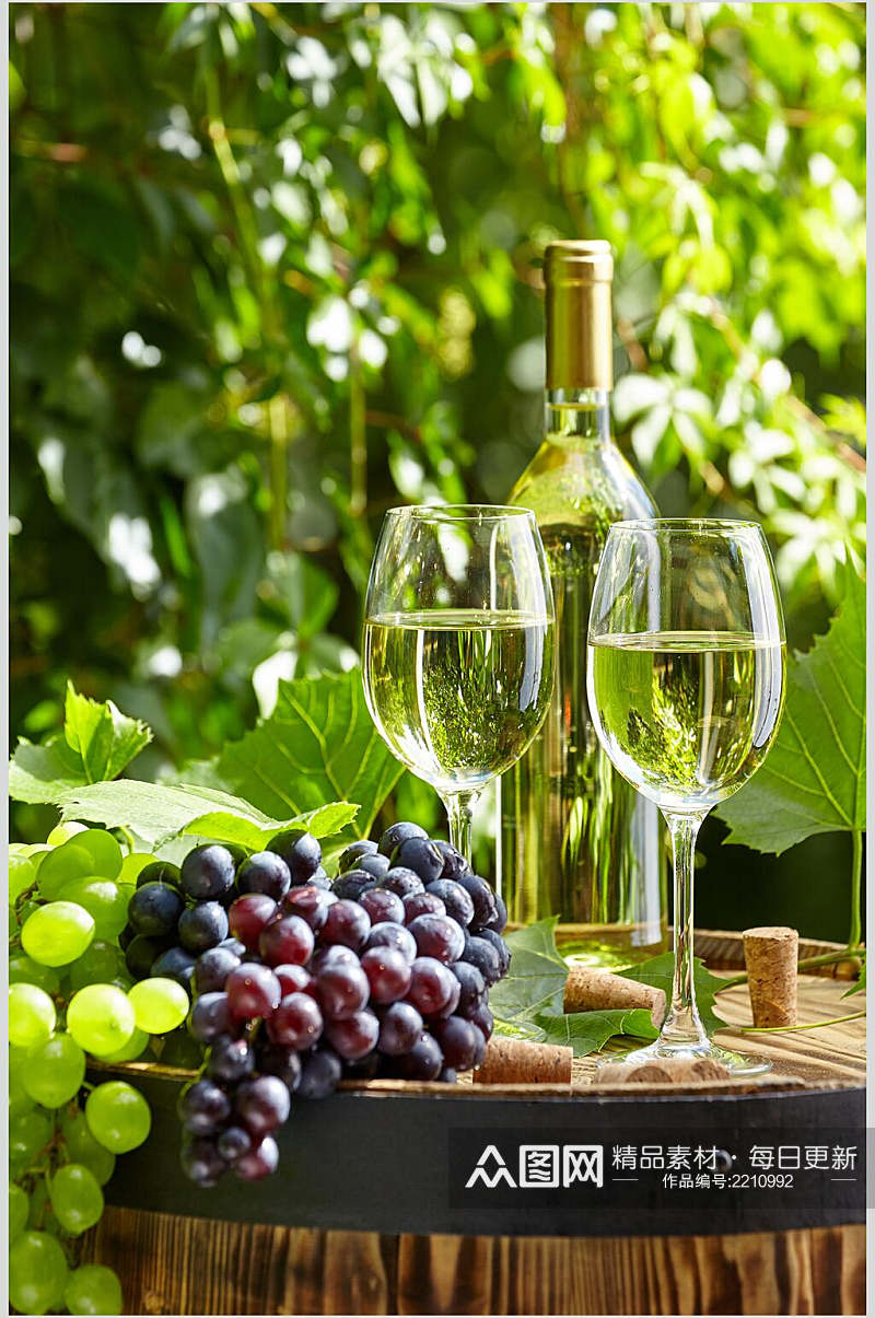 果酒葡萄酒图片素材