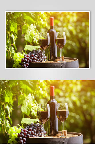 阳光美酒葡萄酒餐饮高清图片
