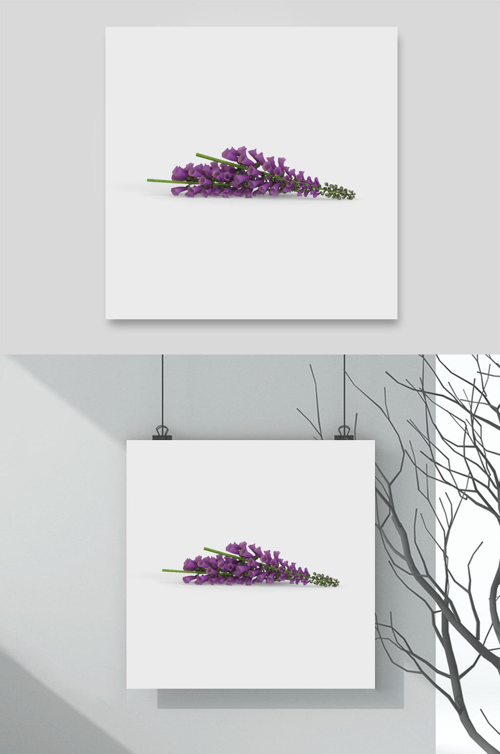 紫色自然花卉植物元素素材