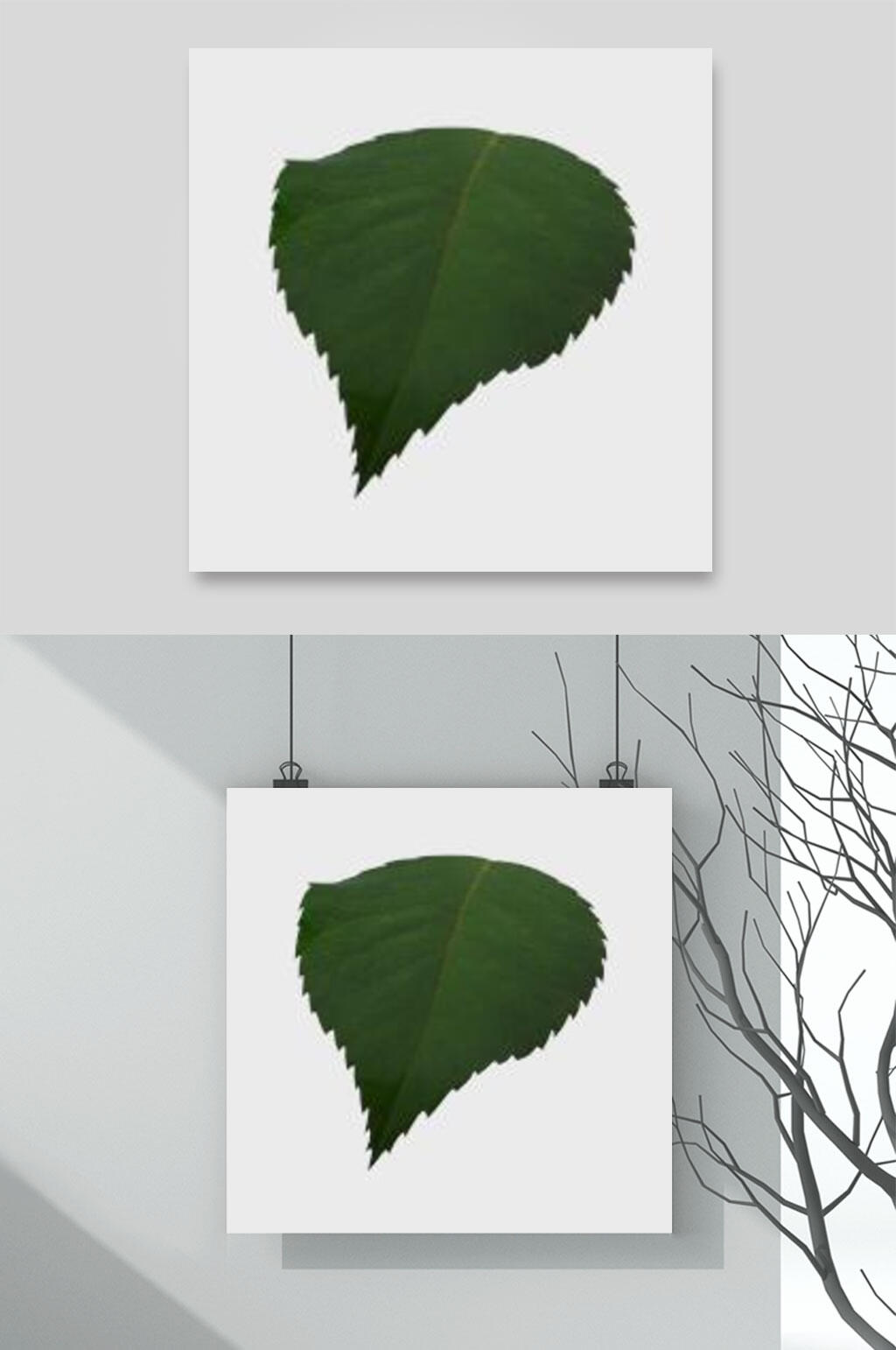 简约自然绿叶花卉元素素材