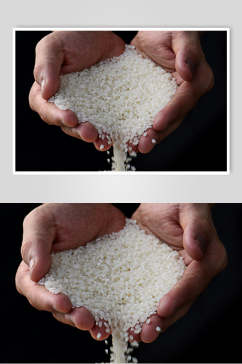 精品优质大米美食食品图片