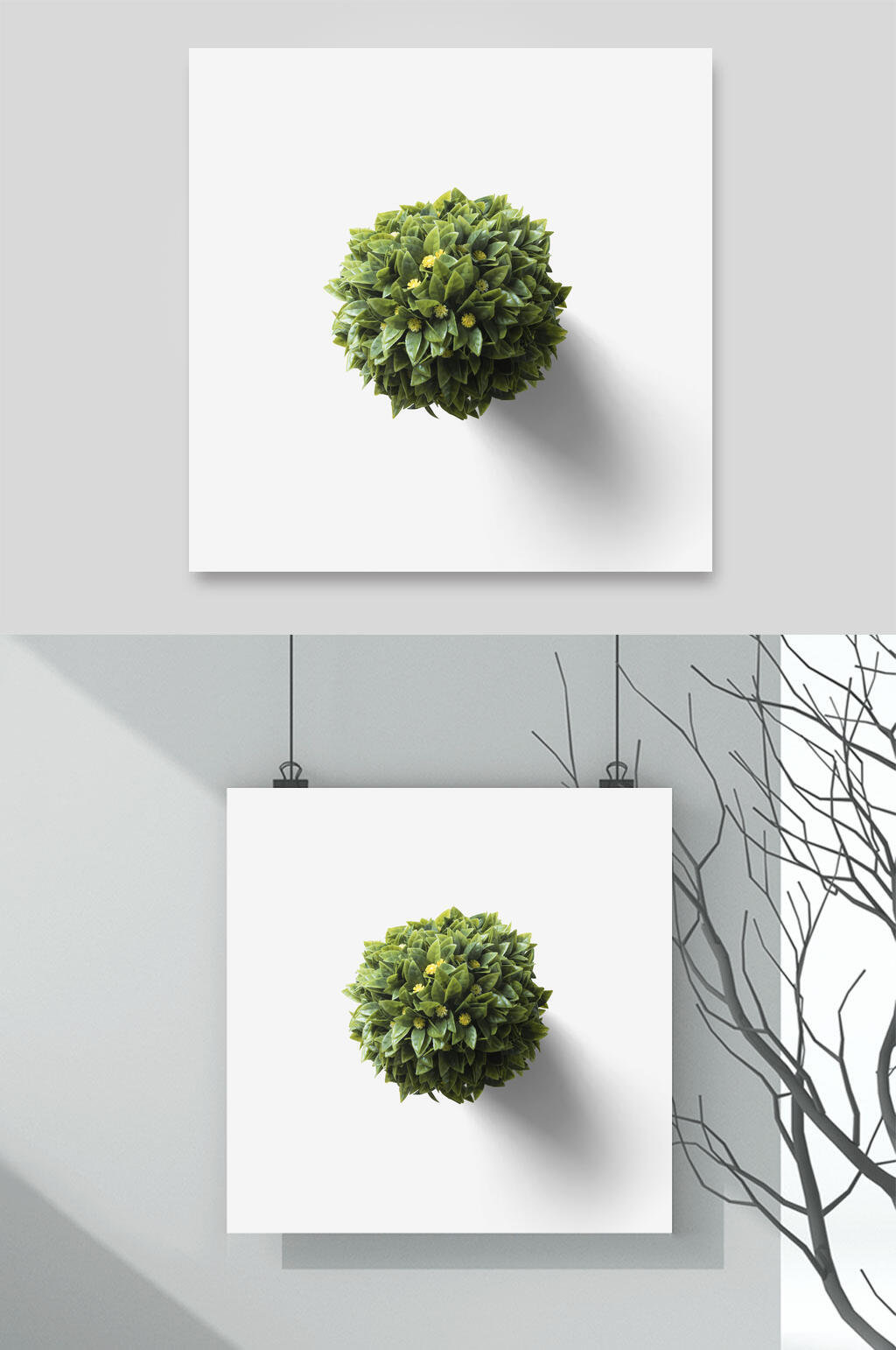 极简绿植花瓣植物素材素材