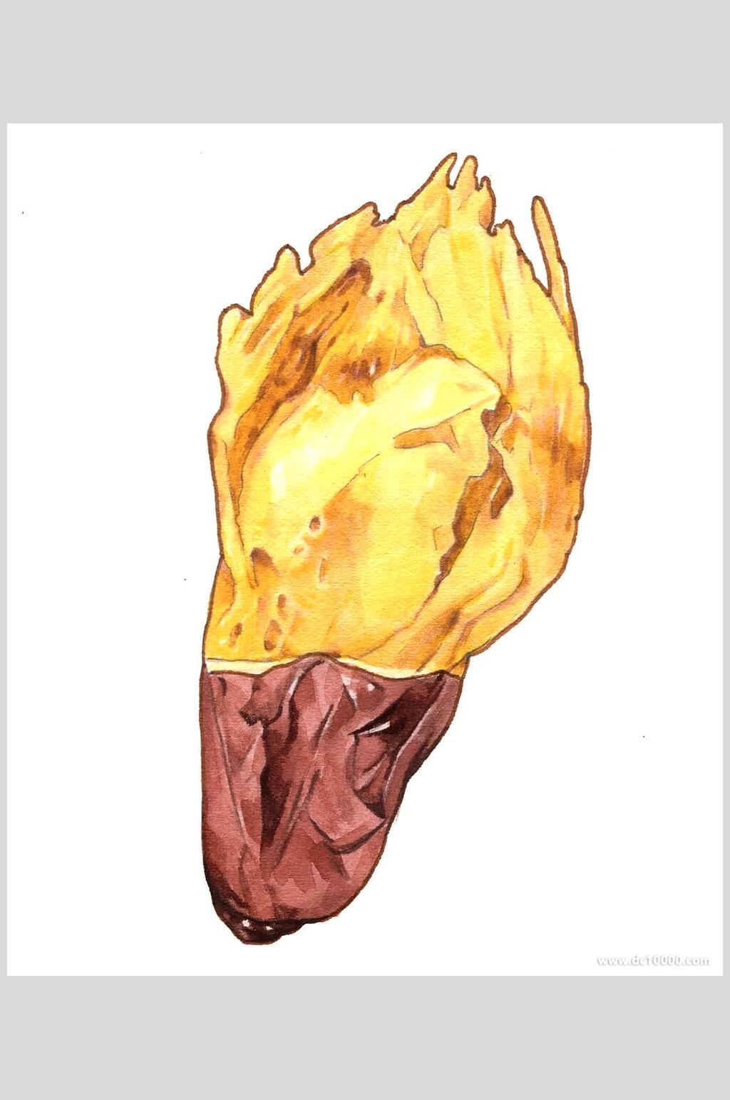 红薯美食图片素材