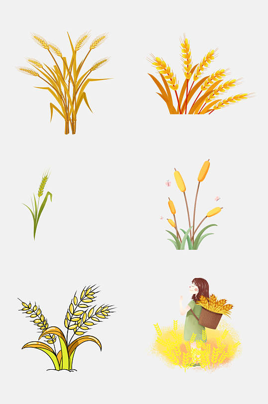 水彩植物稻谷水稻免抠元素