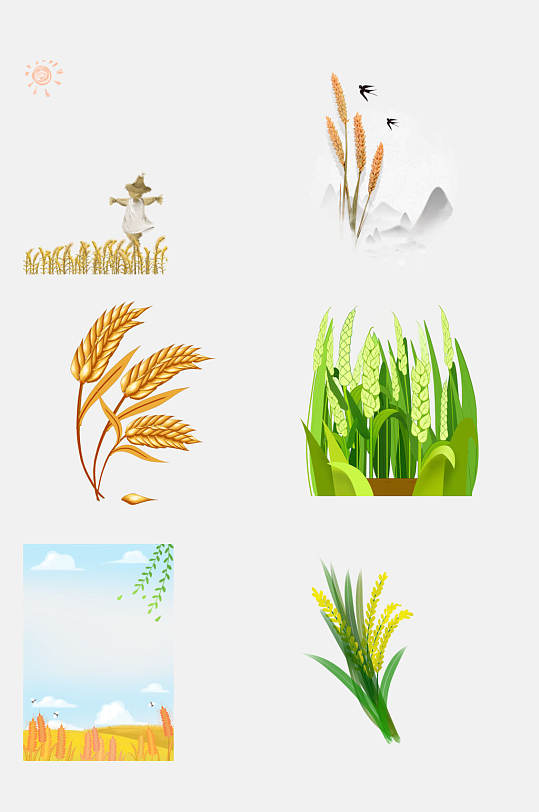 清新美妆稻花稻谷水稻免抠元素