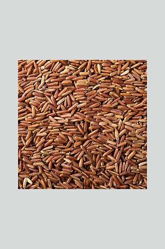 营养红米美食食品图片