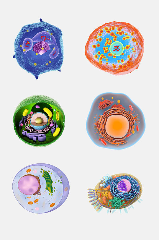 高端医学细菌生物细胞分子免抠素材