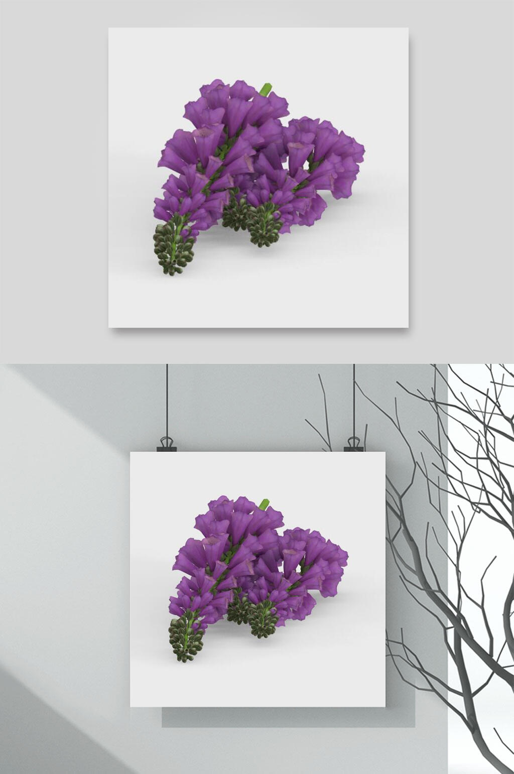 紫色花朵自然花卉元素素材