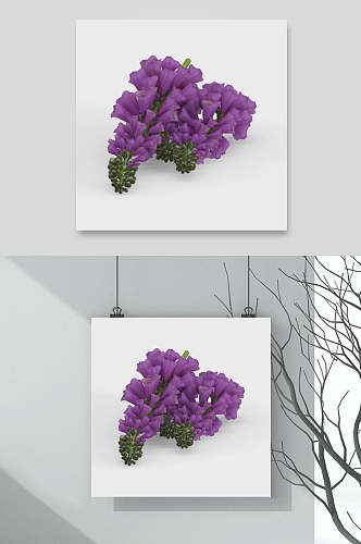 紫色花朵自然花卉元素