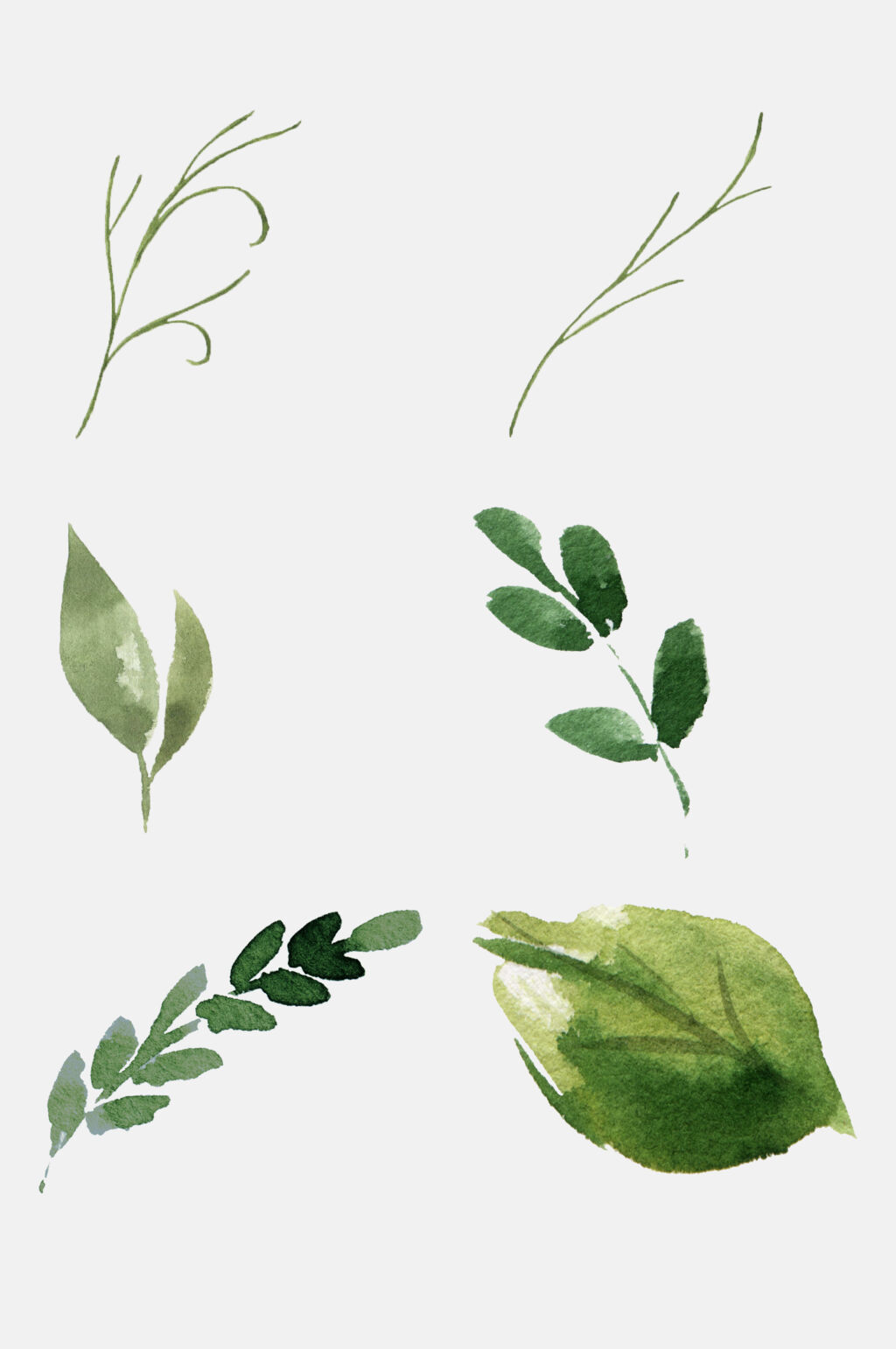 简洁水彩水彩叶子免抠元素素材