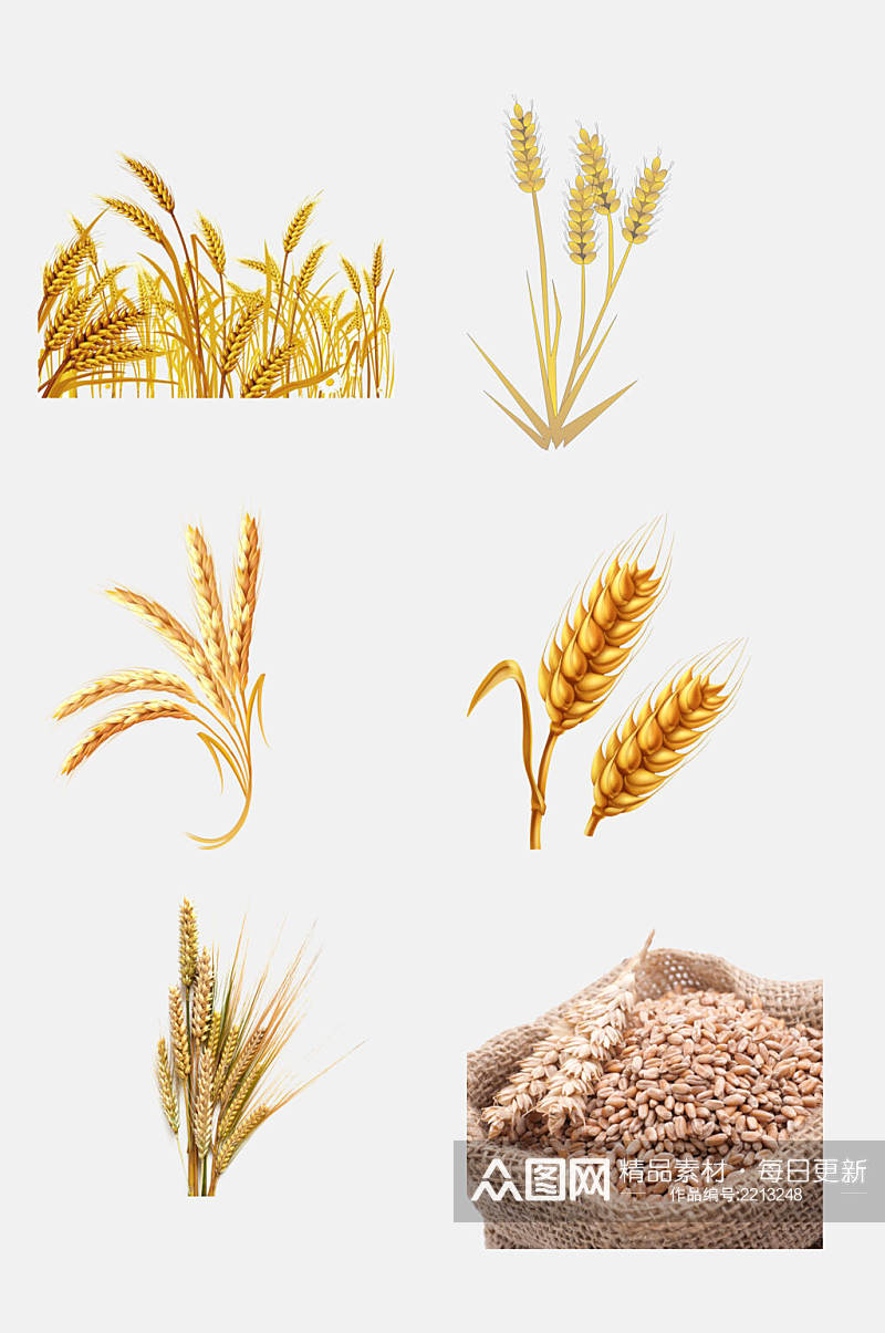 植物稻谷水稻免抠元素素材