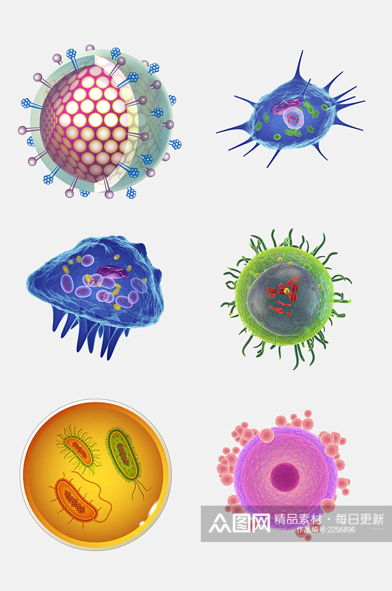 炫彩高端医学细菌生物细胞分子免抠素材素材