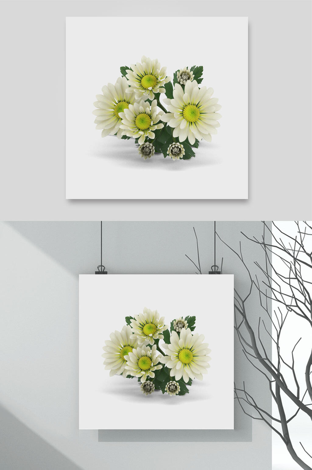 鲜艳自然花朵花卉元素素材