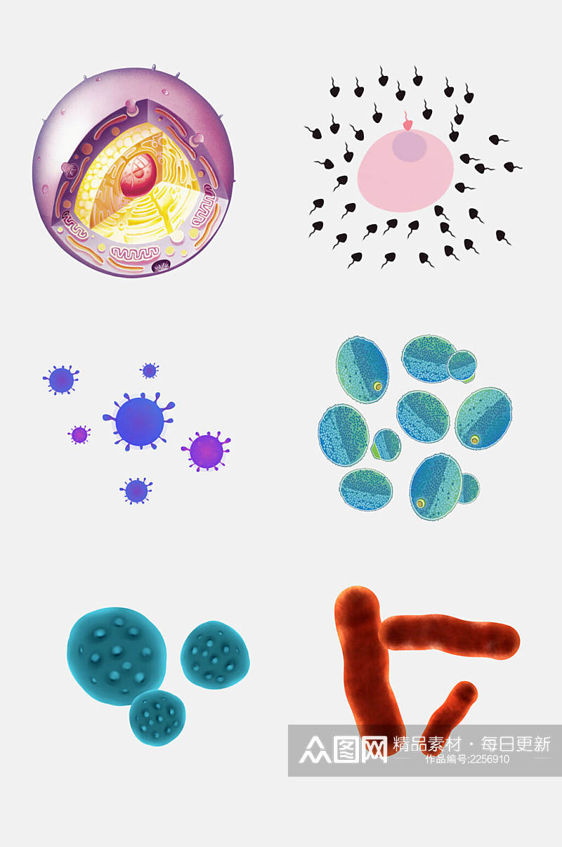 炫彩高端医学细菌生物细胞分子免抠素材素材