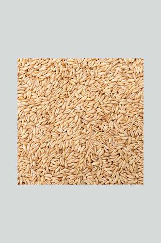 燕麦米美食食品图片