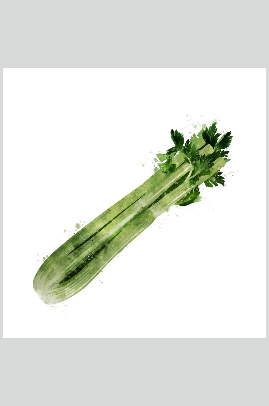 新鲜美味芹菜蔬果食品图片素材