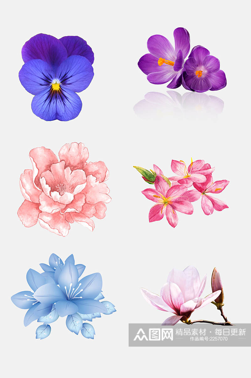 唯美手绘花卉花朵植物免抠素材素材
