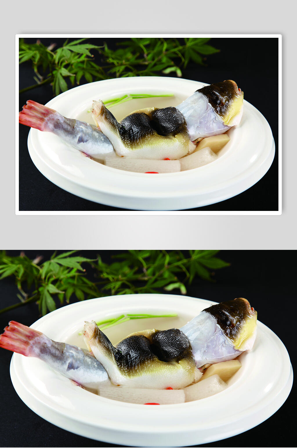 清炖河豚食物图片素材