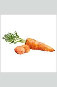 新鲜胡萝卜蔬果食品图片
