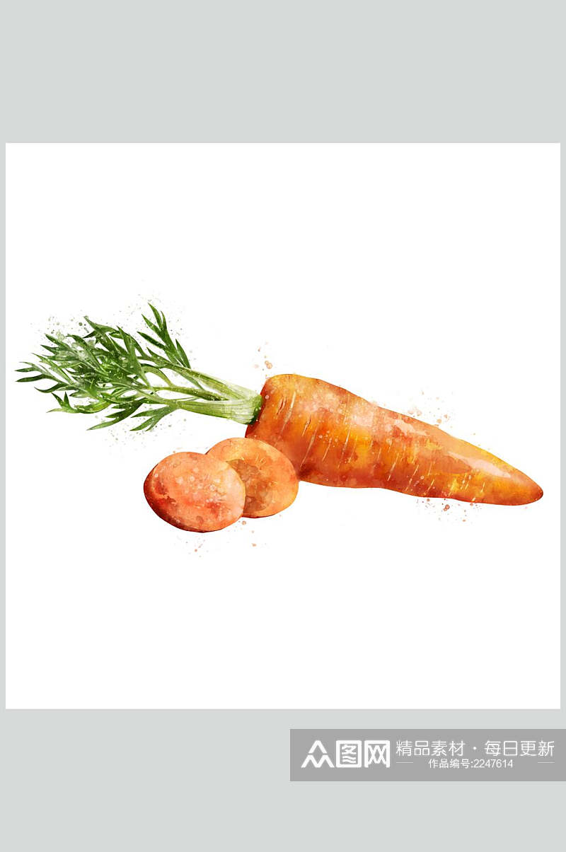 新鲜胡萝卜蔬果食品图片素材