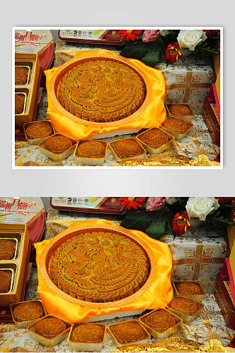 团圆饼月饼食品摄影图片