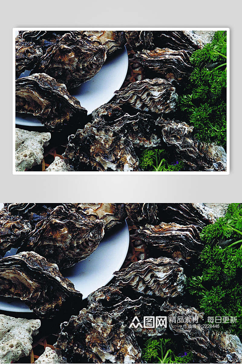 生蚝食物摄影图片素材