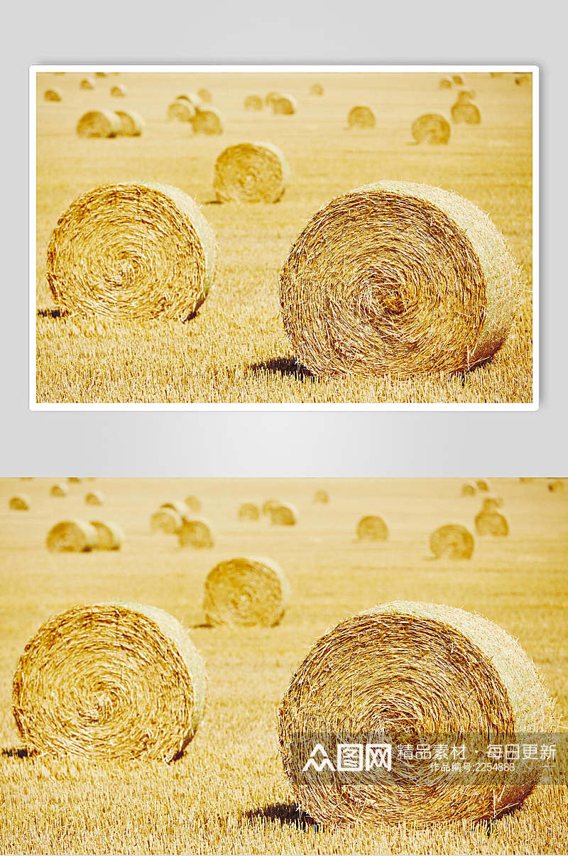 金黄色麦田草堆高清图片素材