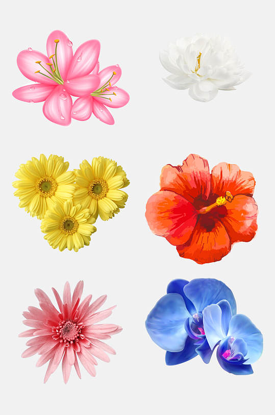 水彩手绘花朵植物免抠设计素材