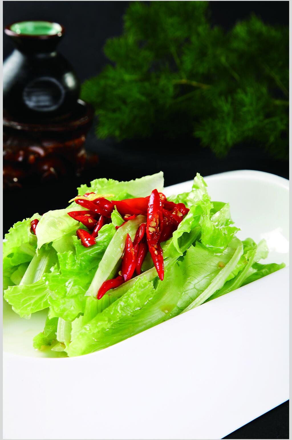 爽口生菜心食物摄影图片素材