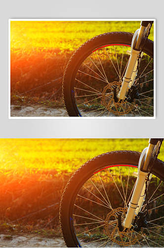 阳光老旧自行车车轮摄影图片