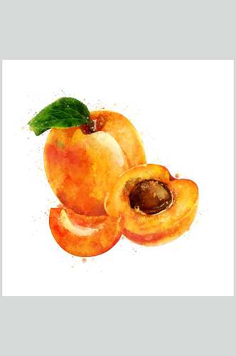 水彩杏仁蔬果图片