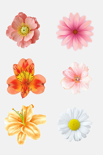 水彩时尚手绘花朵植物免抠素材