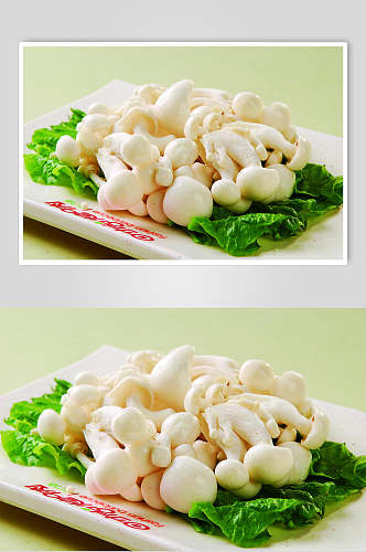 生烤白玉菇食物摄影图片