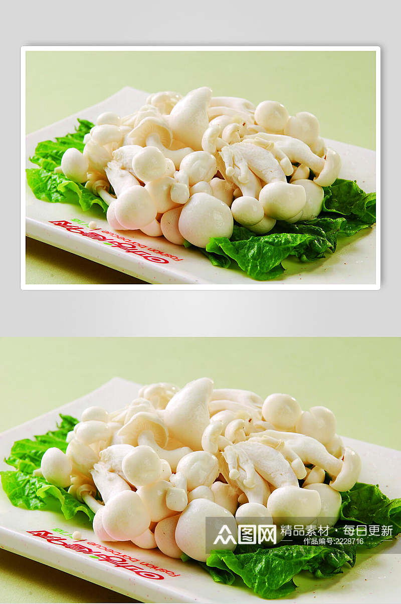 生烤白玉菇食物摄影图片素材