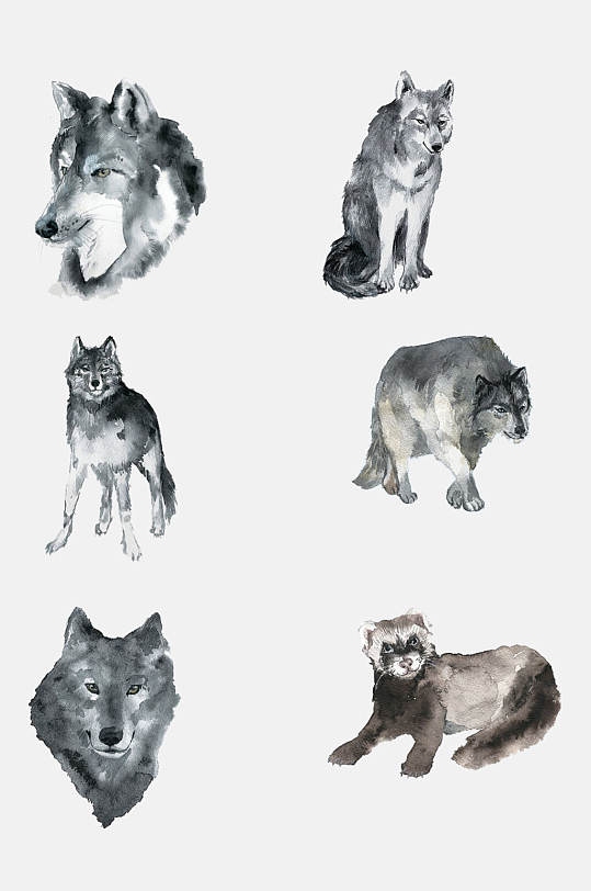 水彩手绘动物狼免抠元素