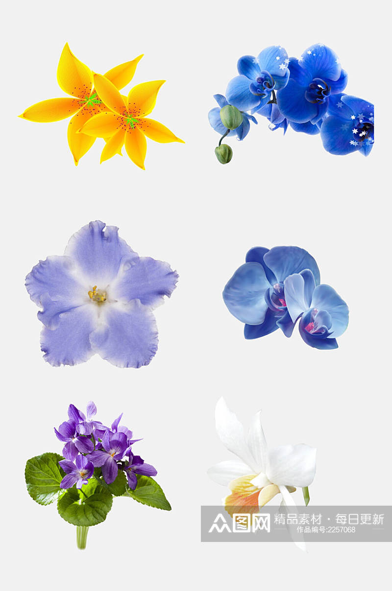 手绘花卉花朵植物免抠素材素材