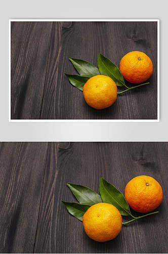 丑橘水果食物摄影图片