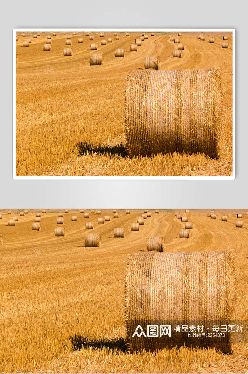 黄色麦田草堆高清图片素材