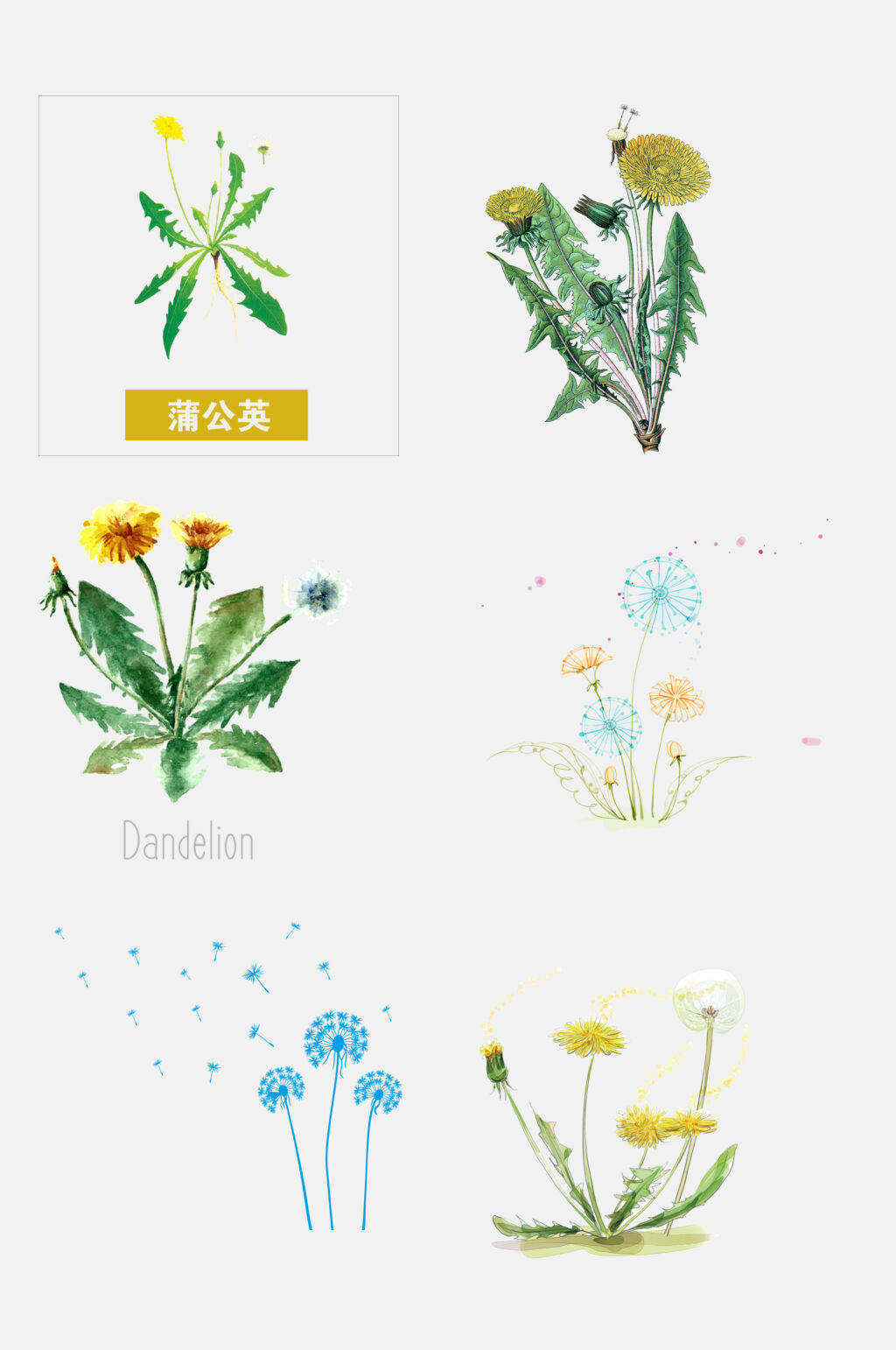清新淡雅手绘蒲公英免扣素材素材